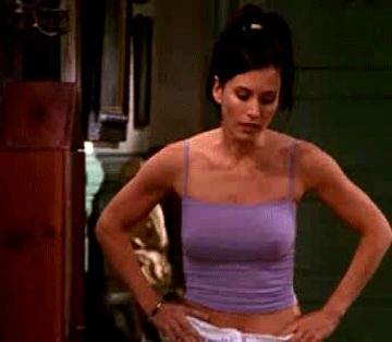 Courteney Cox And Her Perky Plot – From Friends