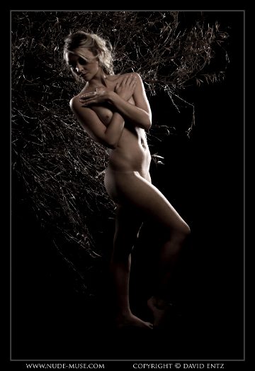 Nude-muse Nik – Darkwoods Nude